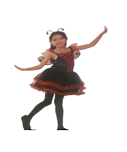 Ladybug Costume
