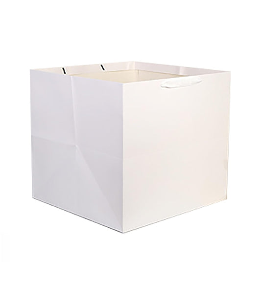 Paper Bag with Ribbon Handles