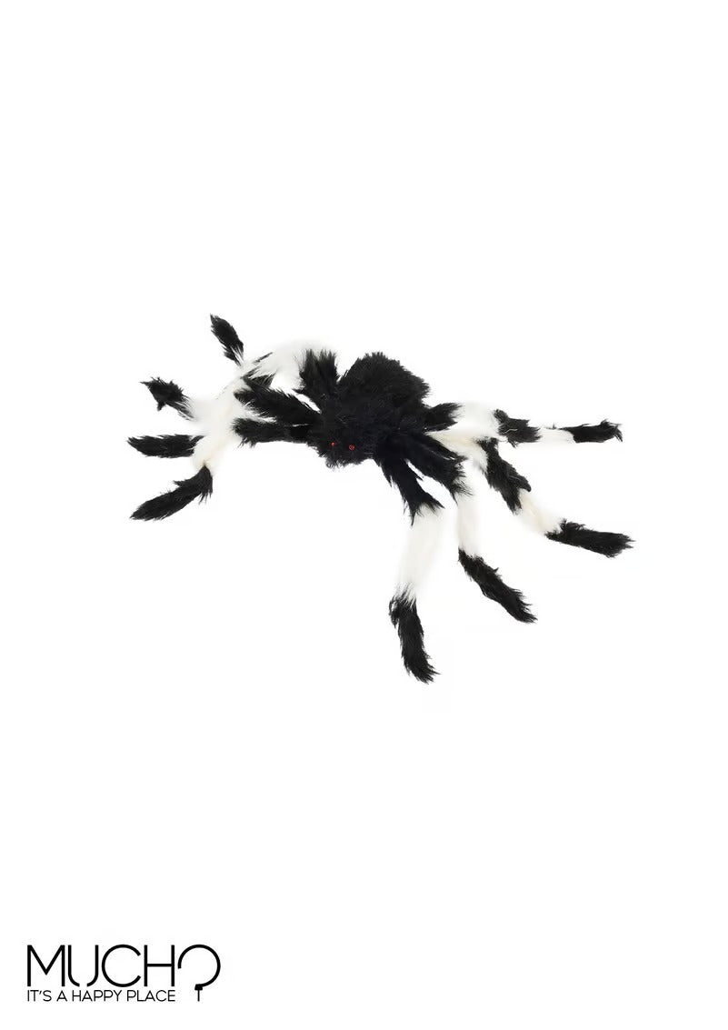 عنكبوت ملون مشعر