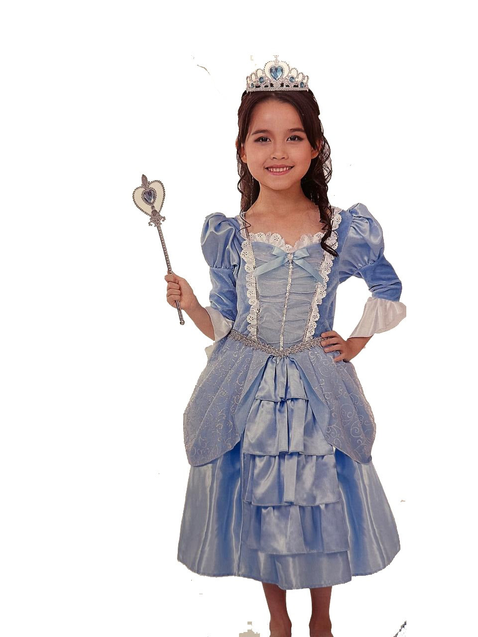 Cinderella Costume