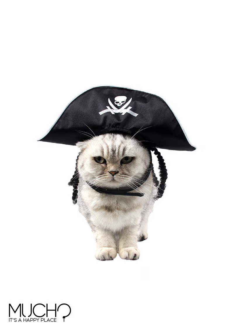 Cat/Dog Pirate Hat