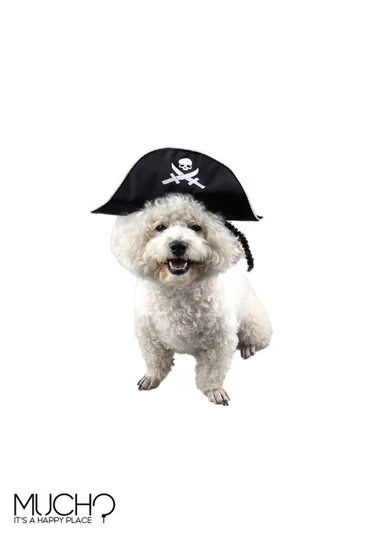 Cat/Dog Pirate Hat