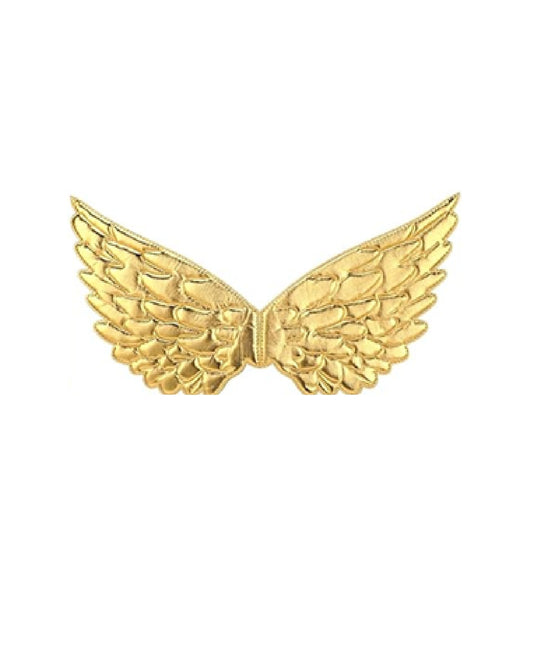 Angel Kids Wings