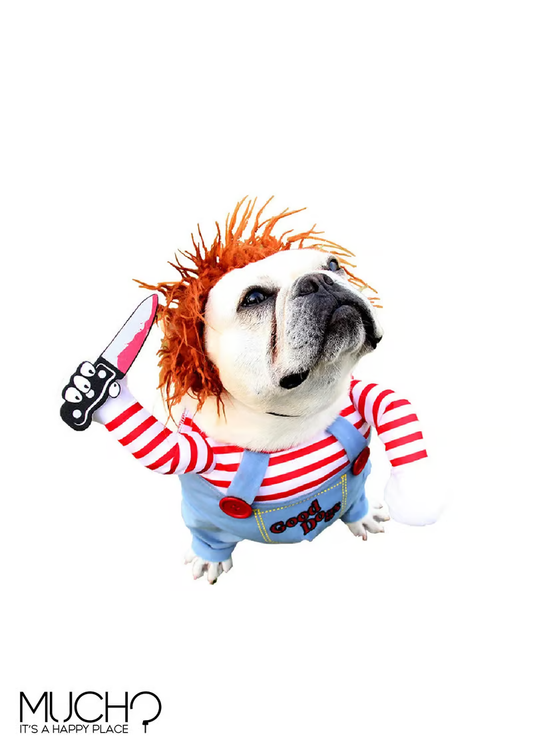 Chucky Costume