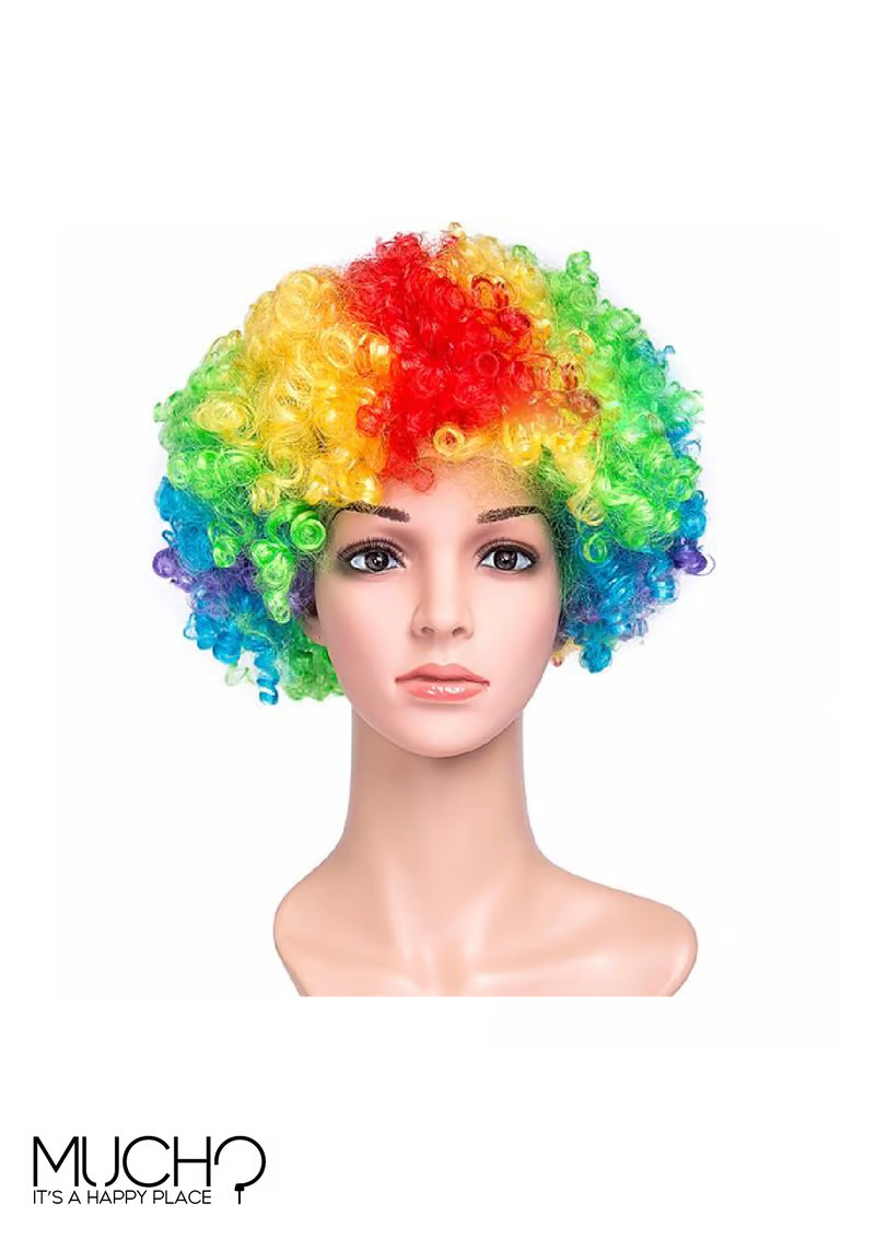 Colored Clown Wig