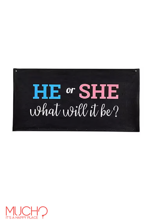 Gender Reveal Bag