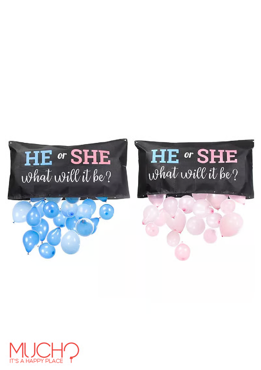 Gender Reveal Bag