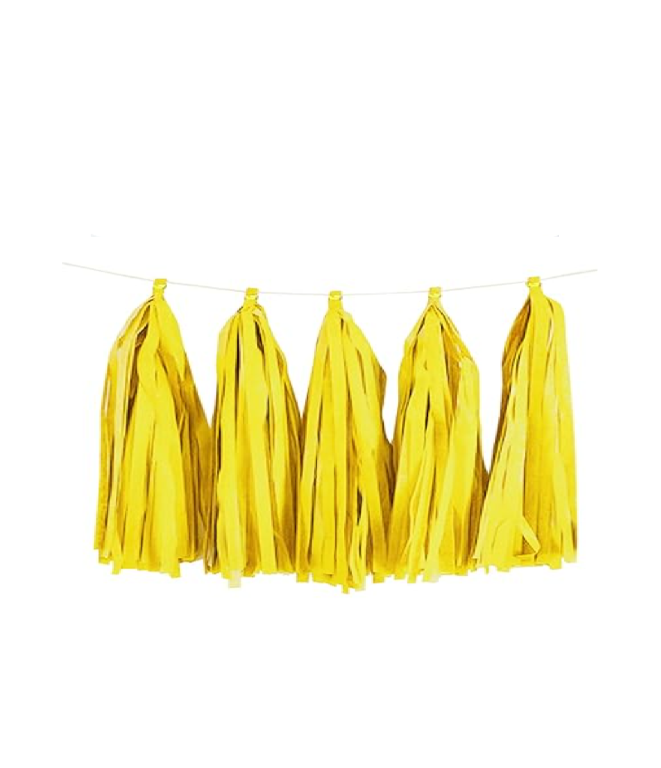 Paper Tassels Garland