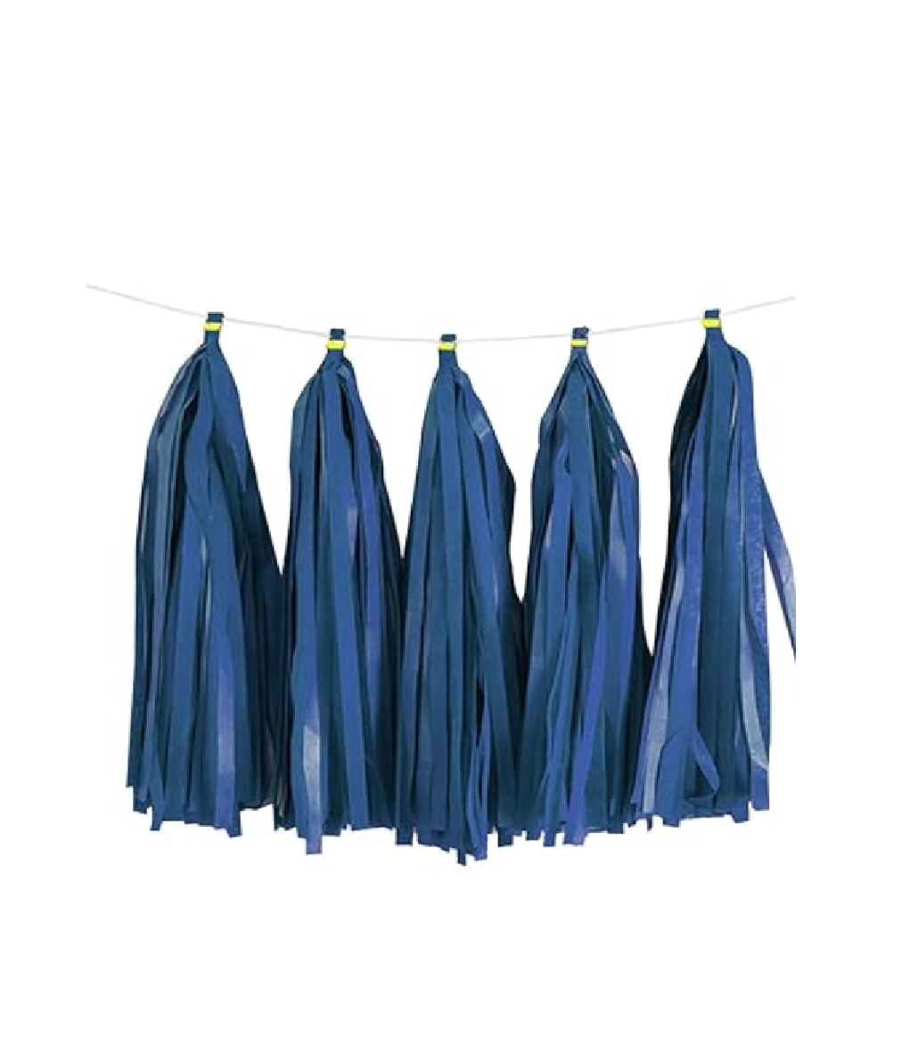 Paper Tassels Garland