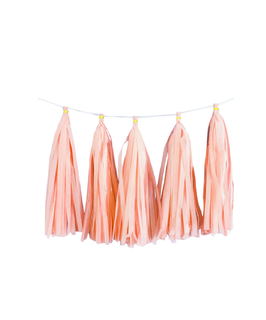 Paper Tassels Garland
