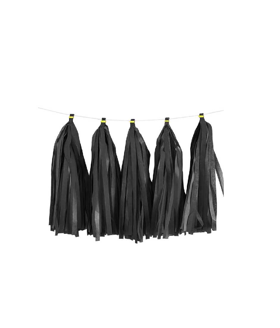 Paper Tassels Garland