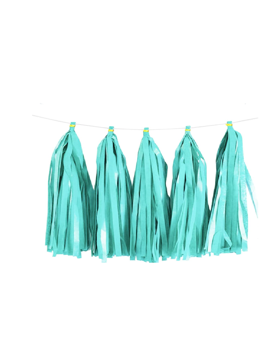 Paper Tassels Garland