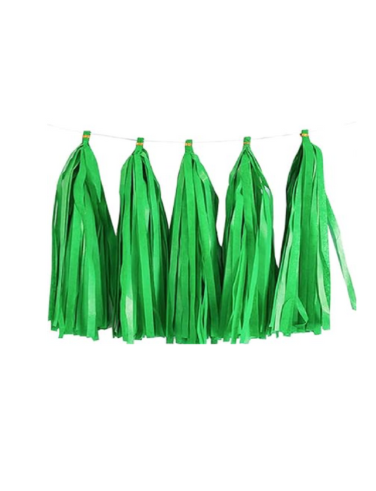 Paper Tassels Garland