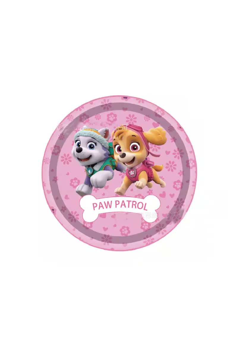 Girls Paw Patrol 7IN Plates
