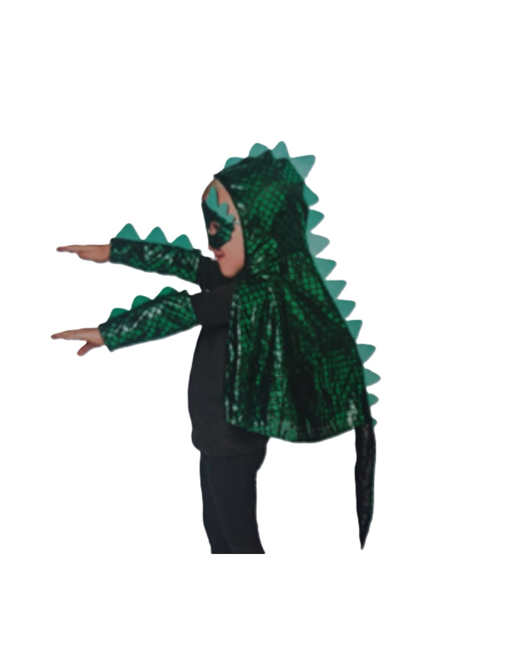 Dinosaur Costume