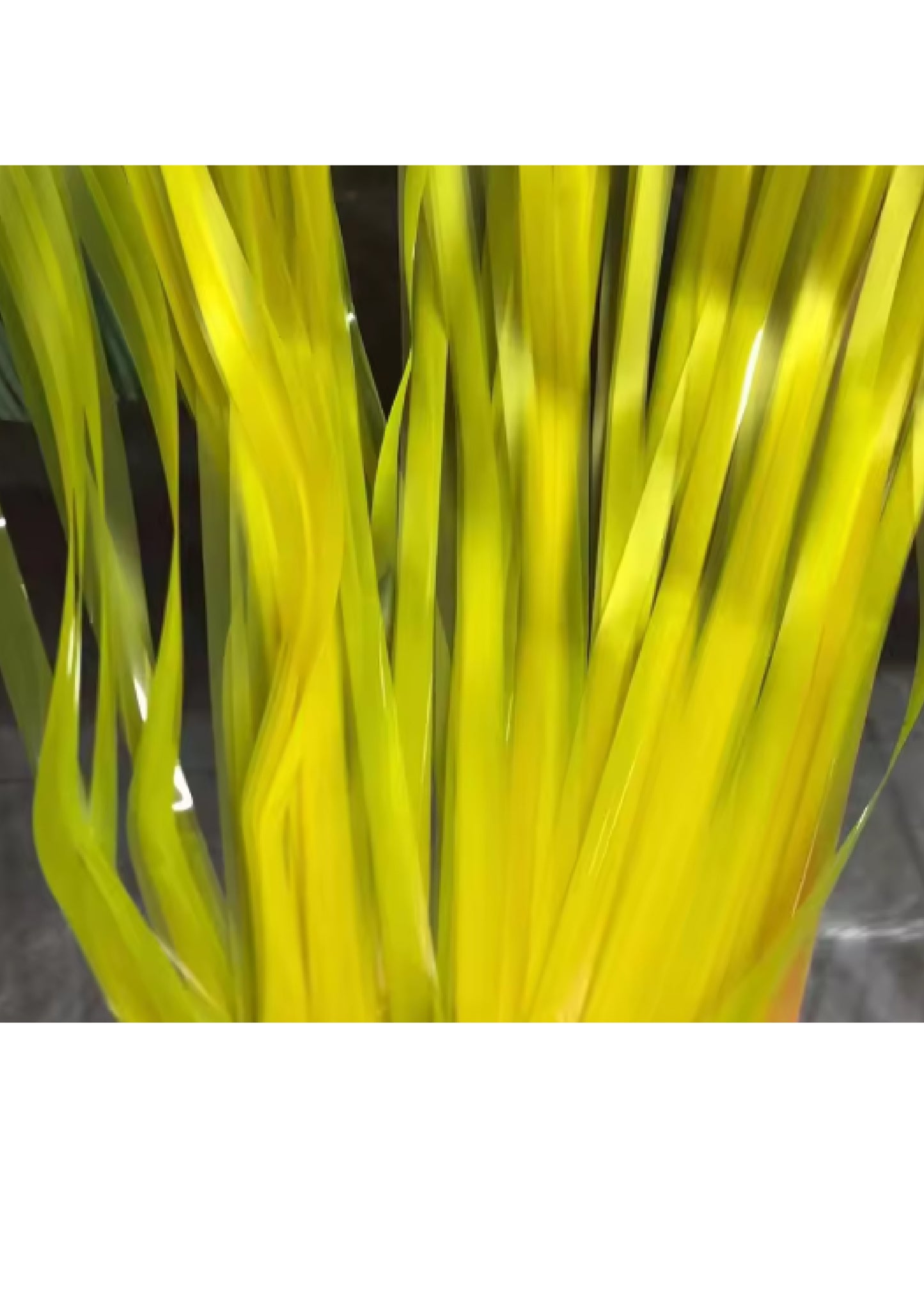 Neon Foil Fringe
