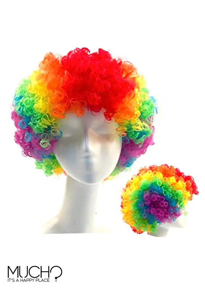 Colored Clown Wig