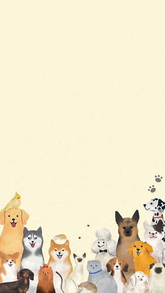 Cats & Dogs