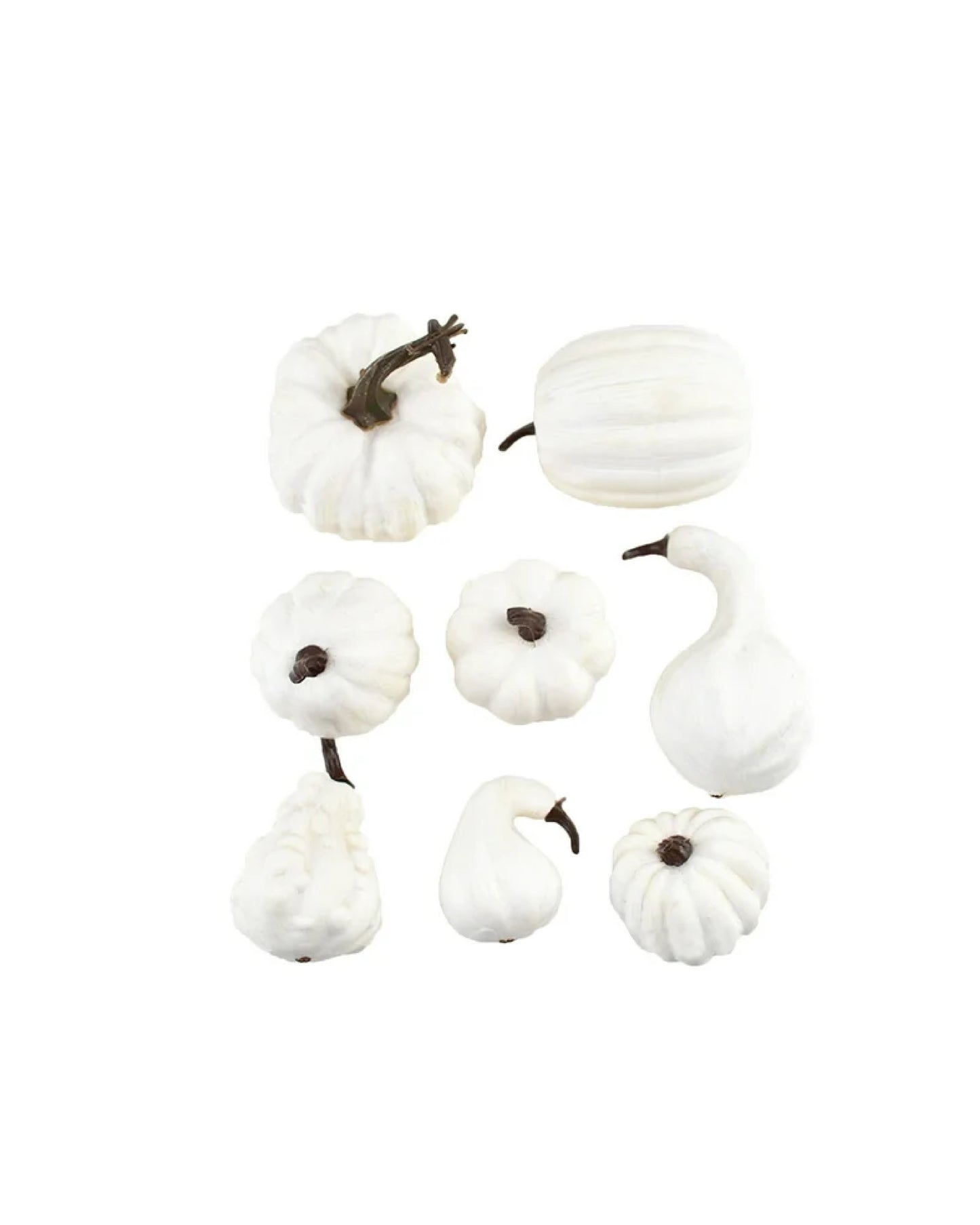 DIY White Pumpkin (Pack of 8)
