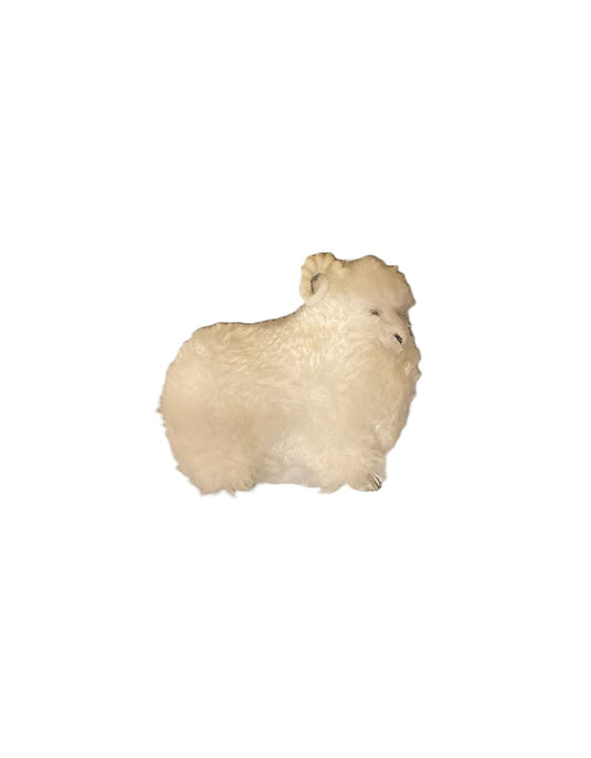 حقيبة الأورجانزا الأغنام