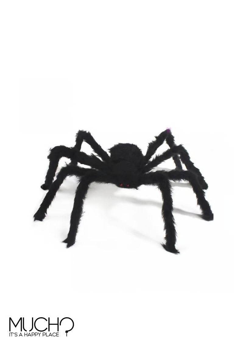 Hairy Black Spider