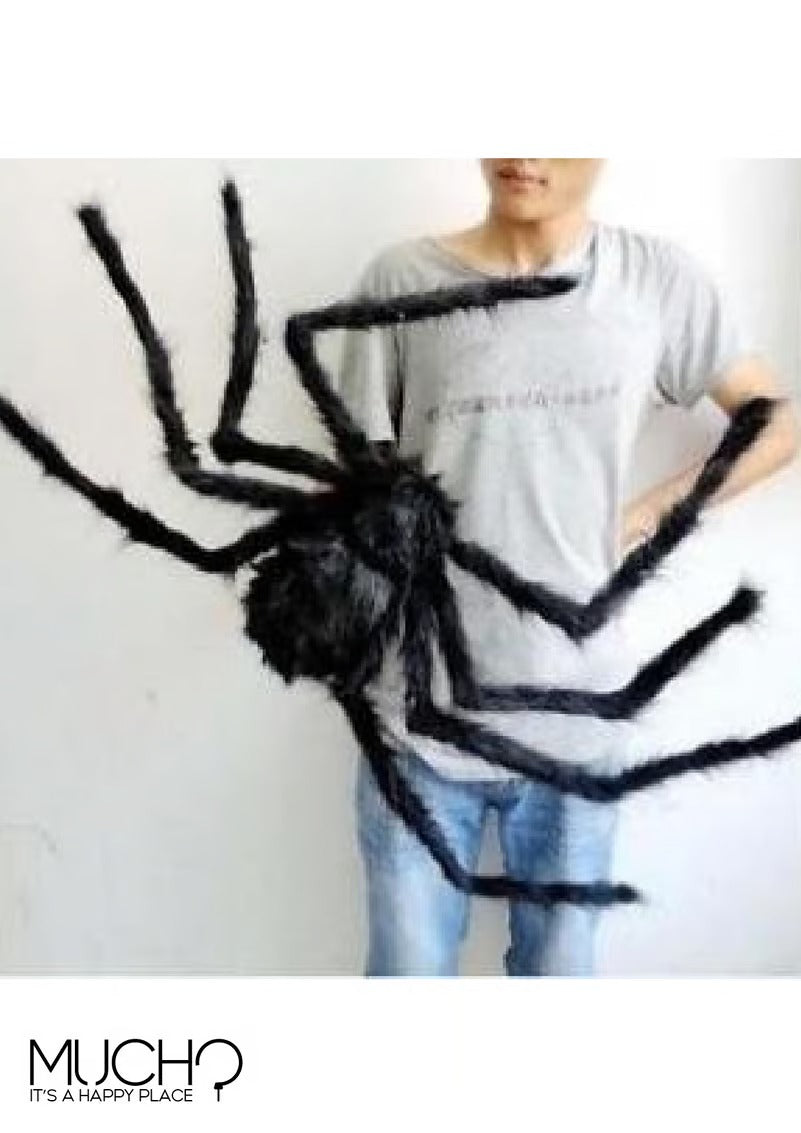 Hairy Black Spider