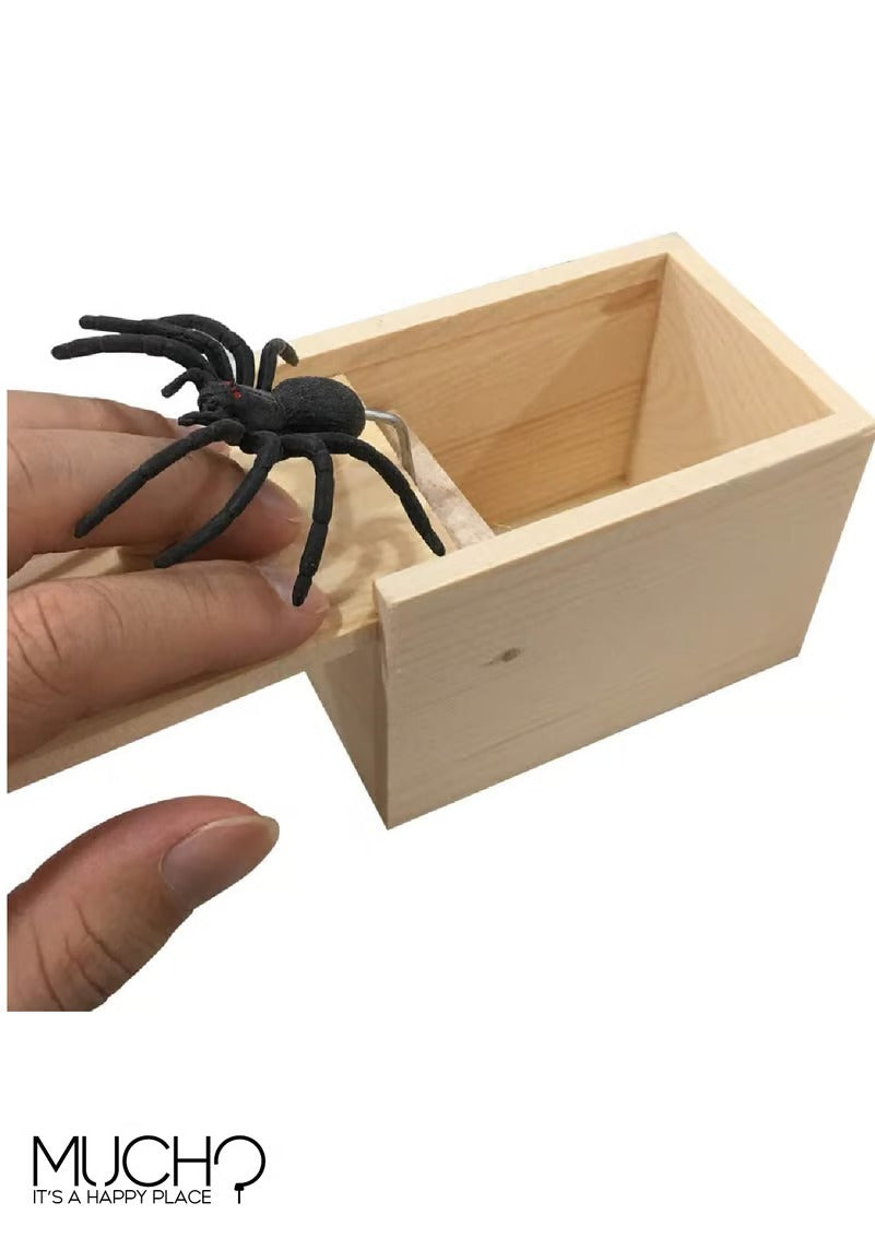 Spider Prank Box