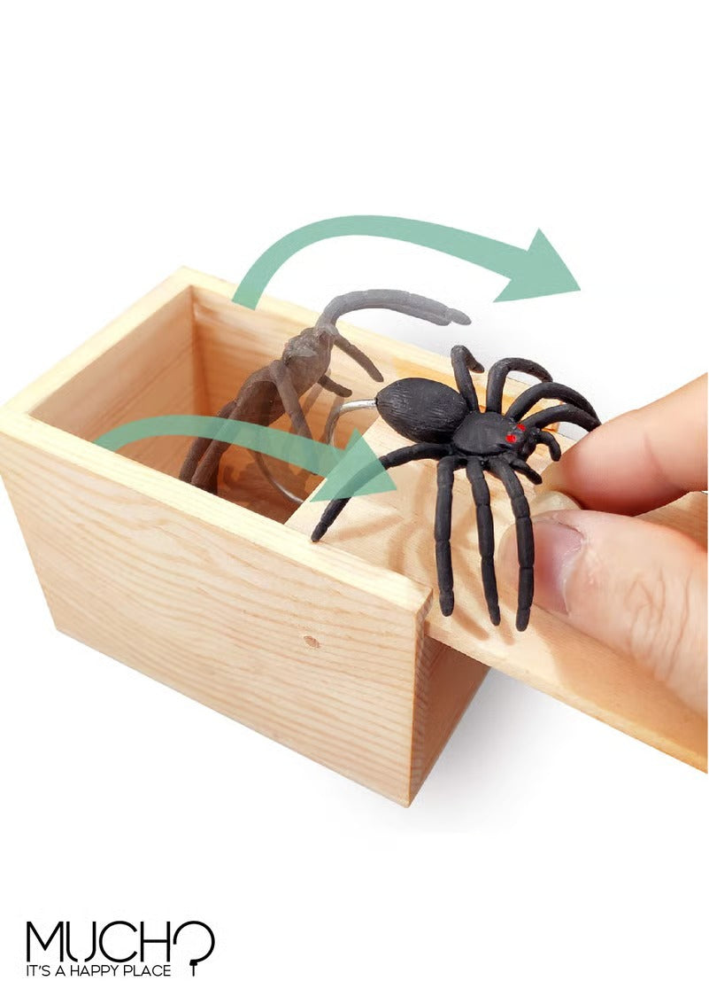 Spider Prank Box