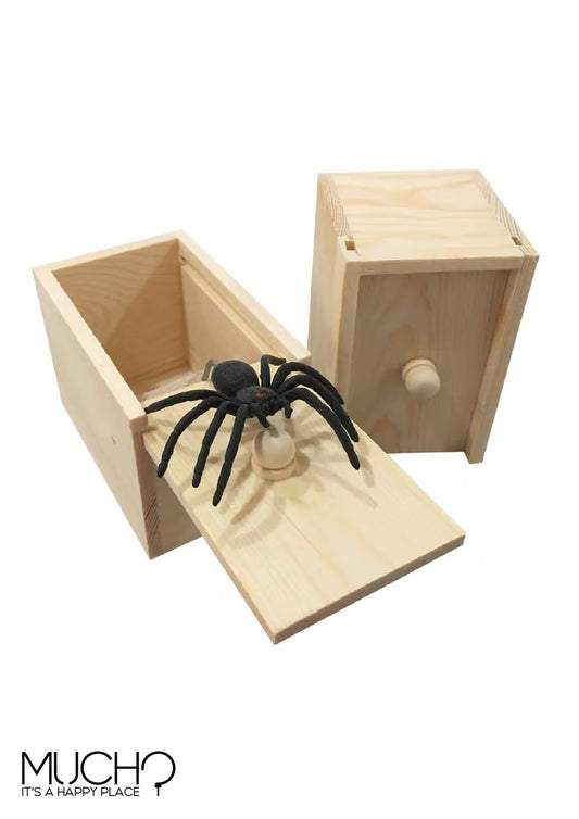 Spider Prank Box