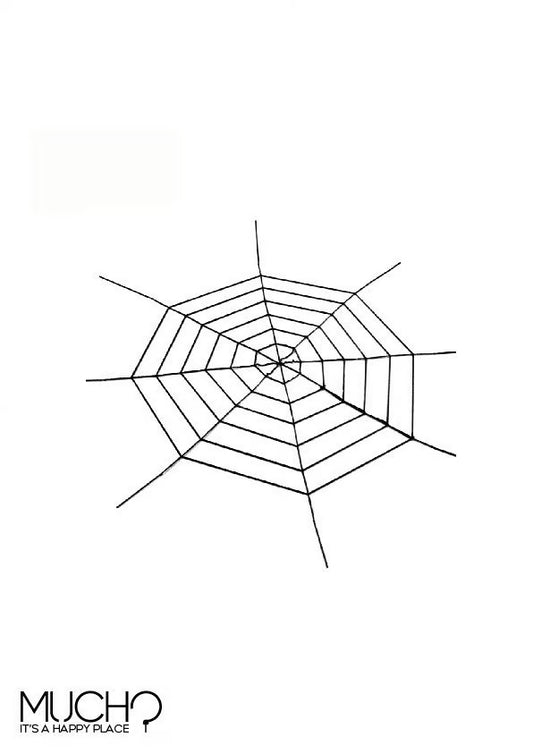 Black Spider Web