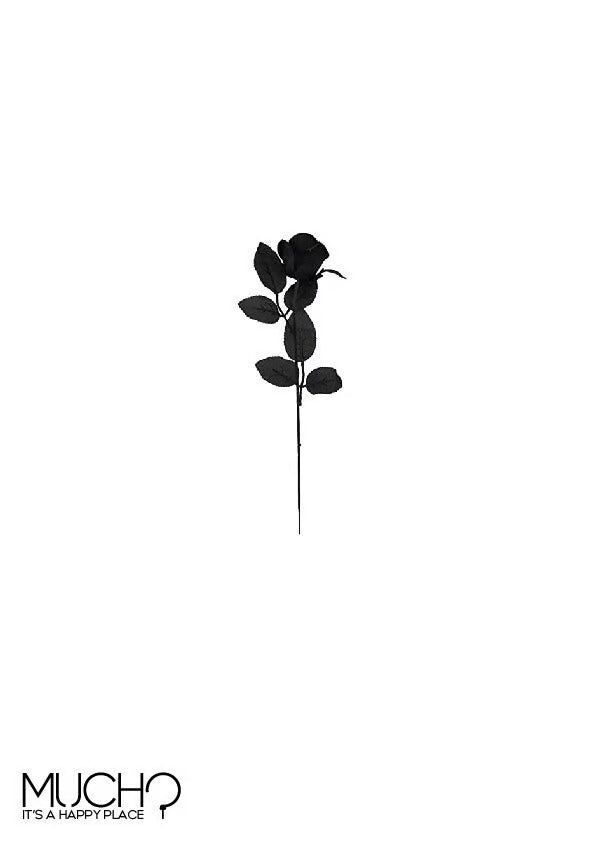 Black Flower (Pack of 2)