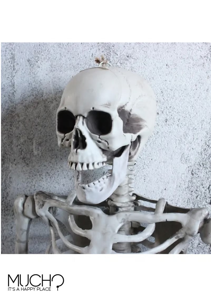 Decoration Skeleton