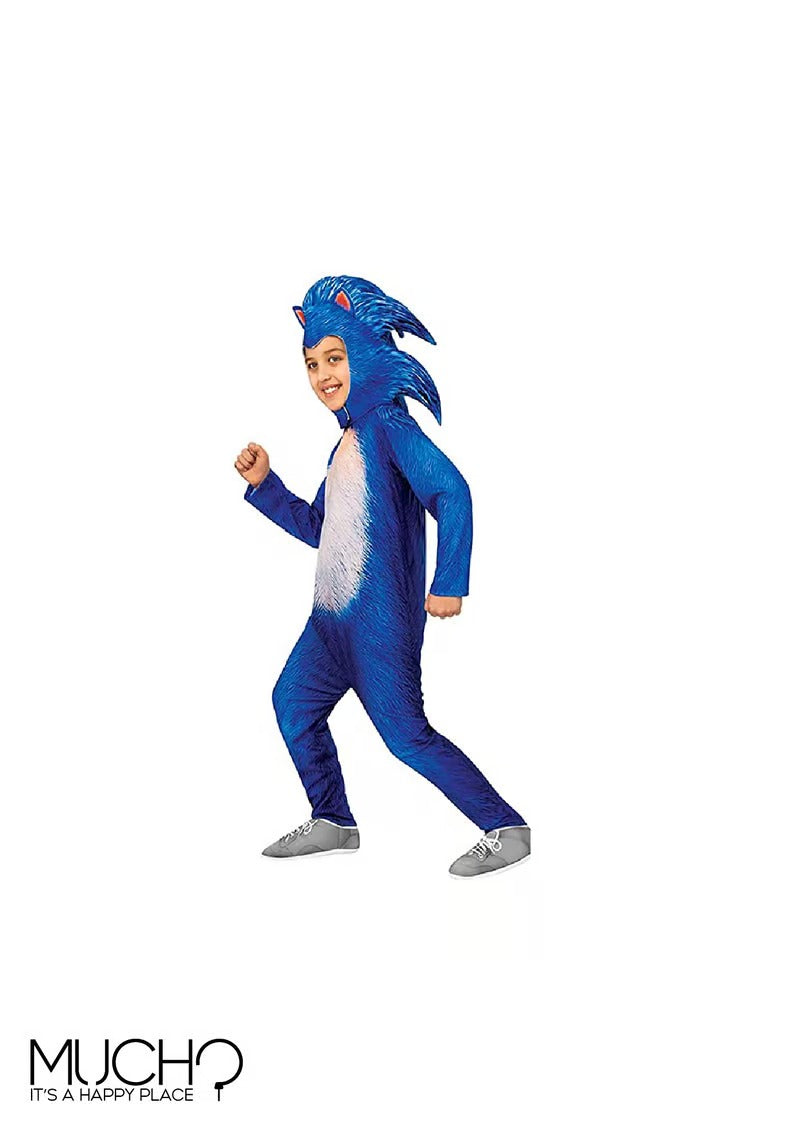 Sonic Costume