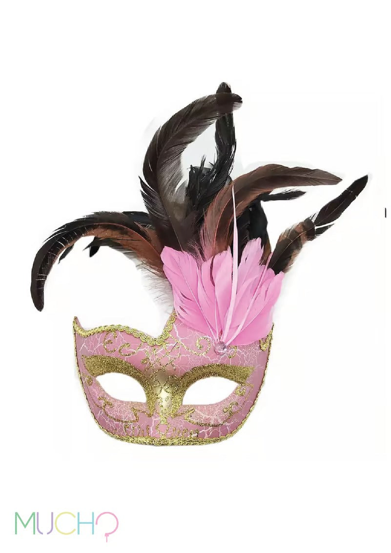 Feather Mardi Gras Masquerade Mask