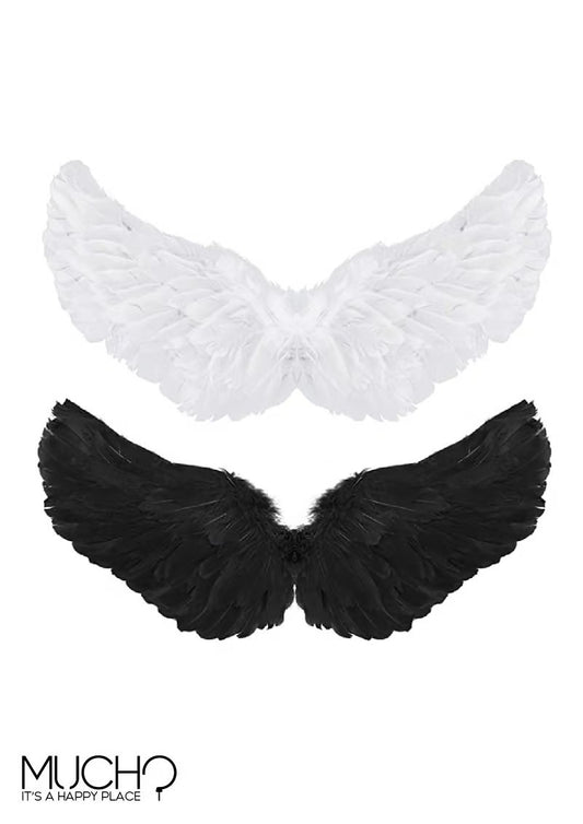 Black or White Wings