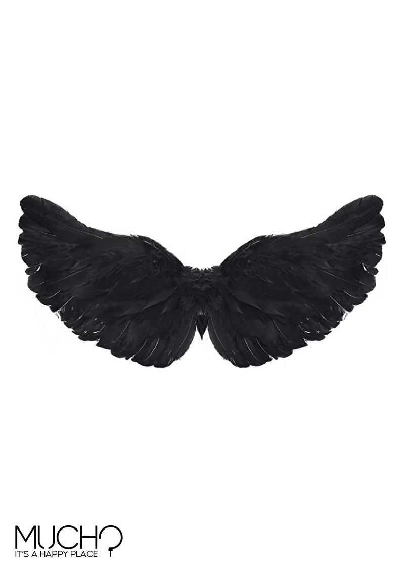 Black or White Wings