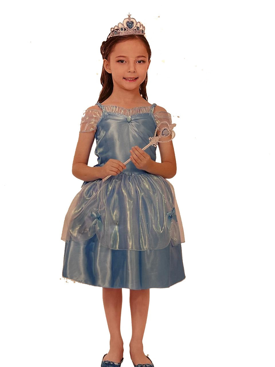 Cinderella  Costume