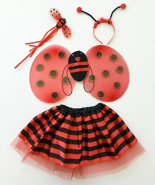 Ladybug Costume