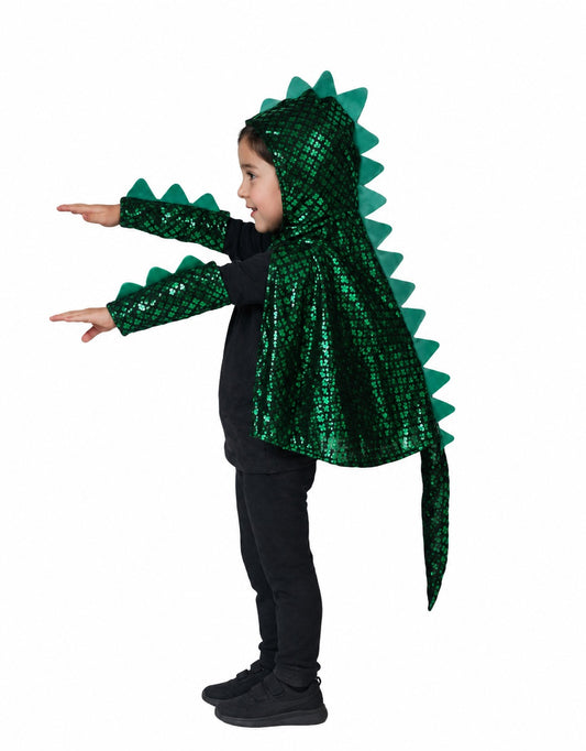 Dinosaur Costume