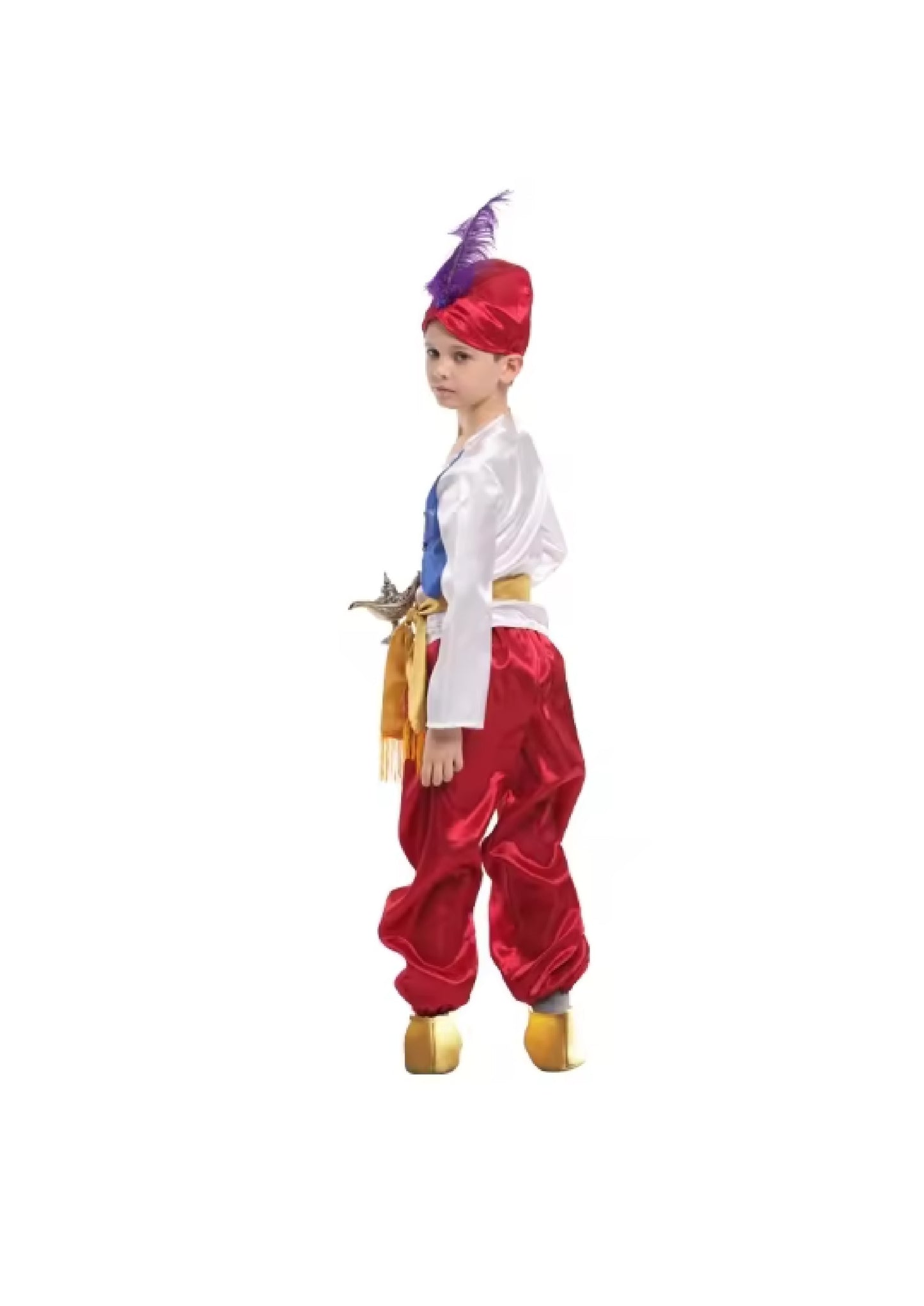 Aladdin Costume