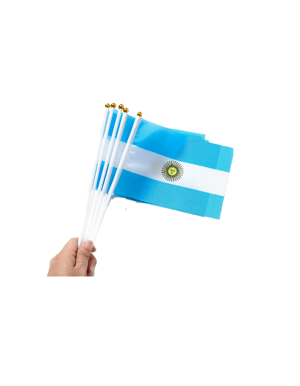 Hand Held Small Argentine Flag
