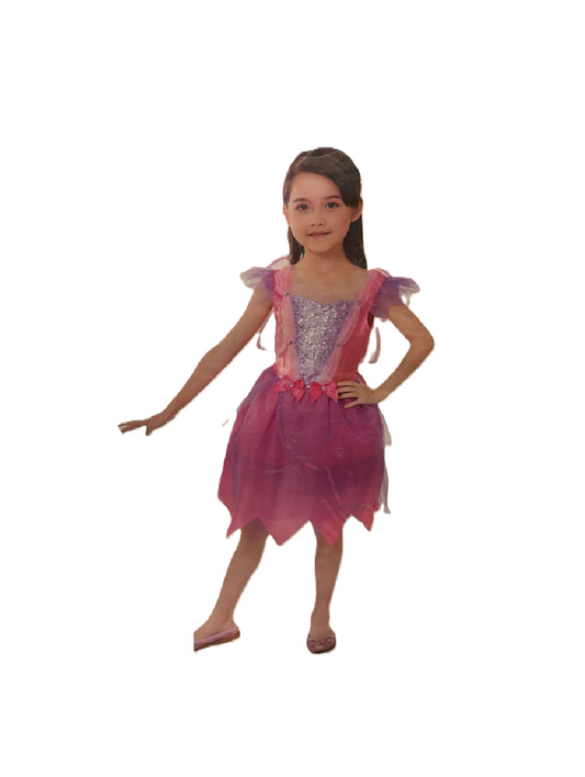 Fairy Pink Costume