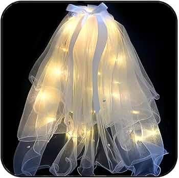 Bride LED Veil