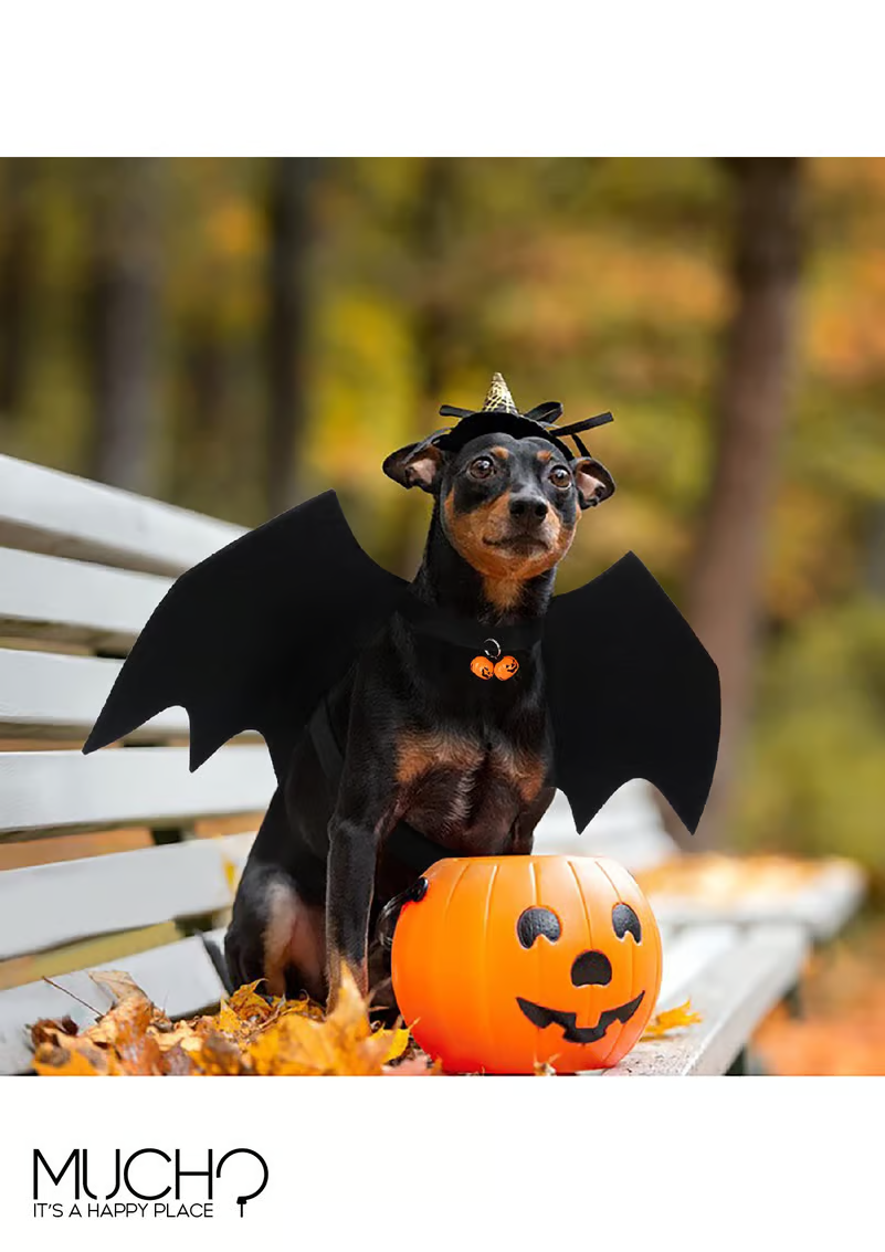 Cat/Dog Bat Costume