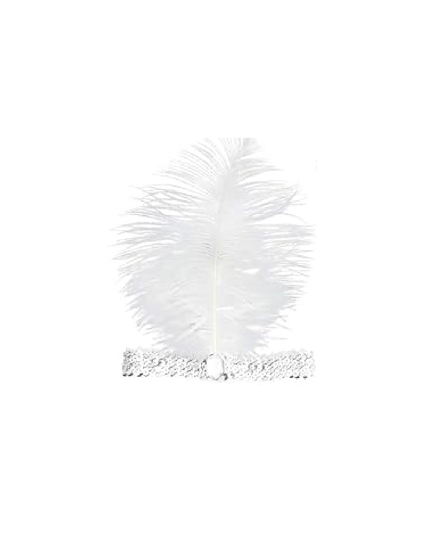 Gatsby Feathers Headband