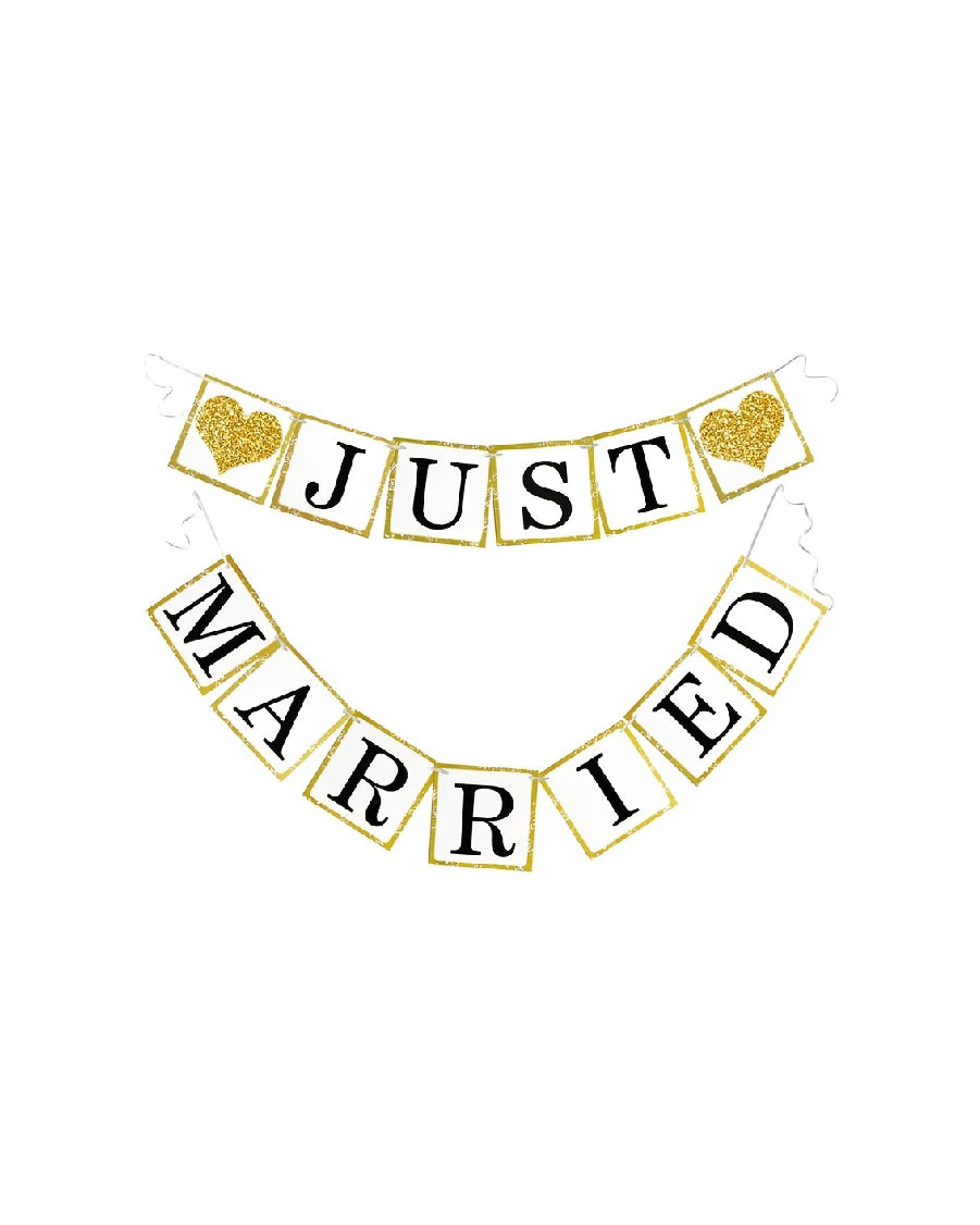 Just Married Banner
