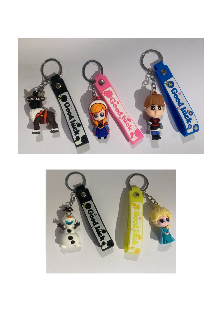 Frozen Key Chain