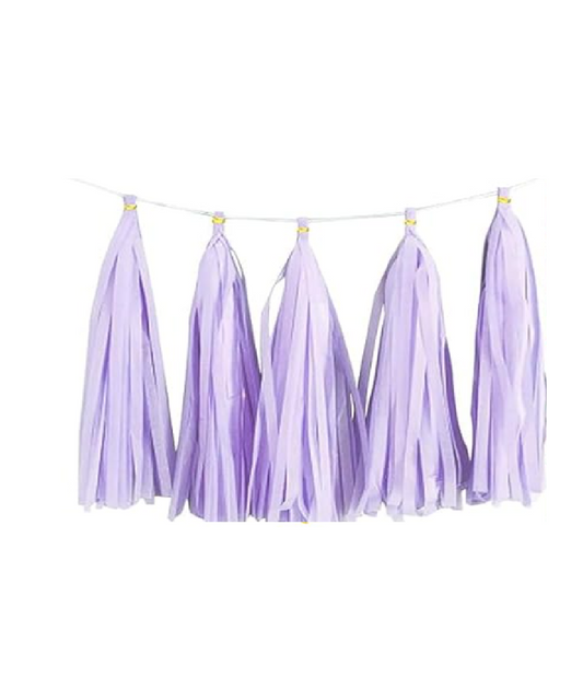 Paper Tassels Garland
