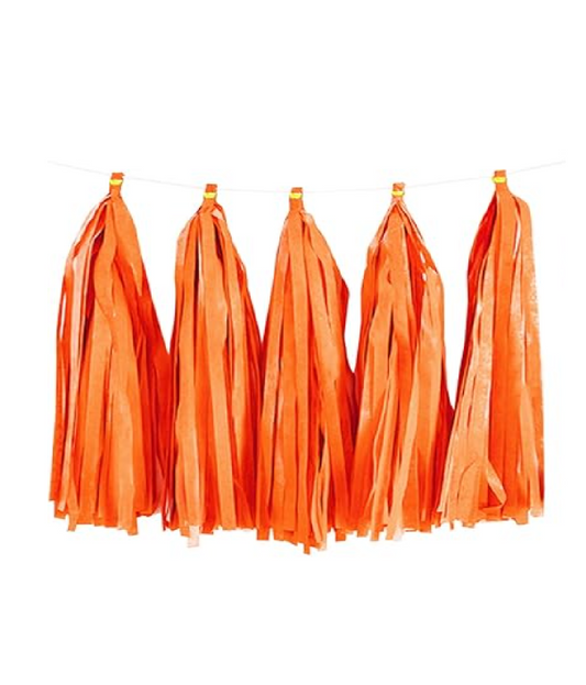 Paper Tassels Garland