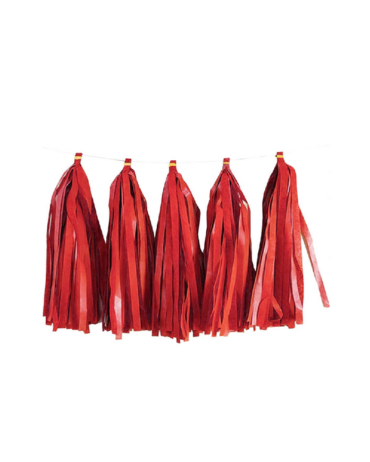 Paper Tassels Garland